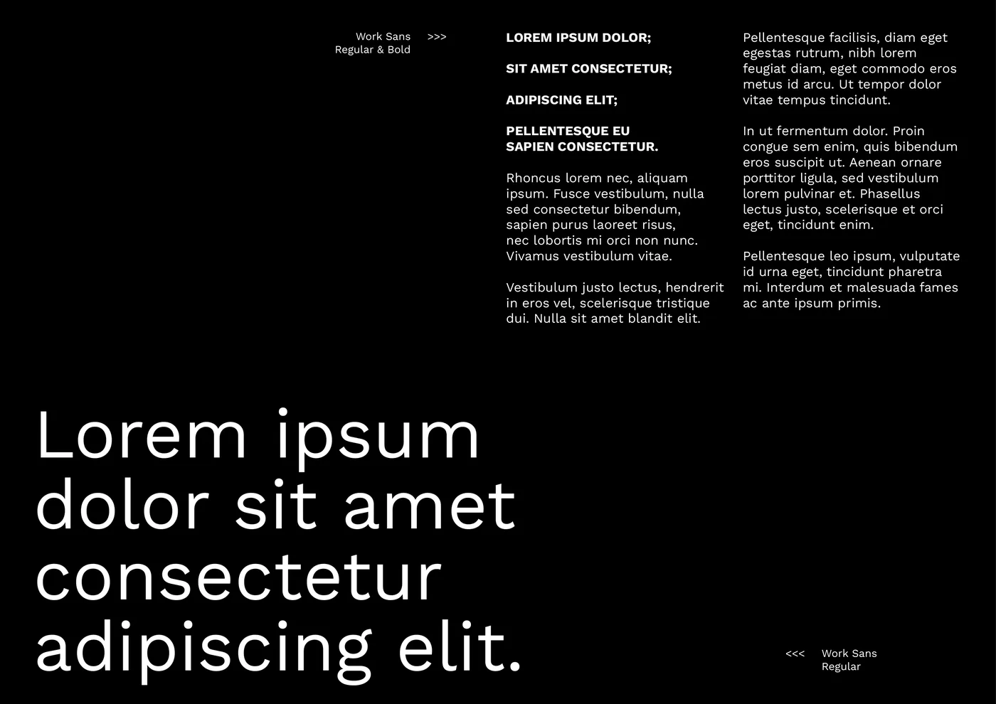 Work Sans in use
