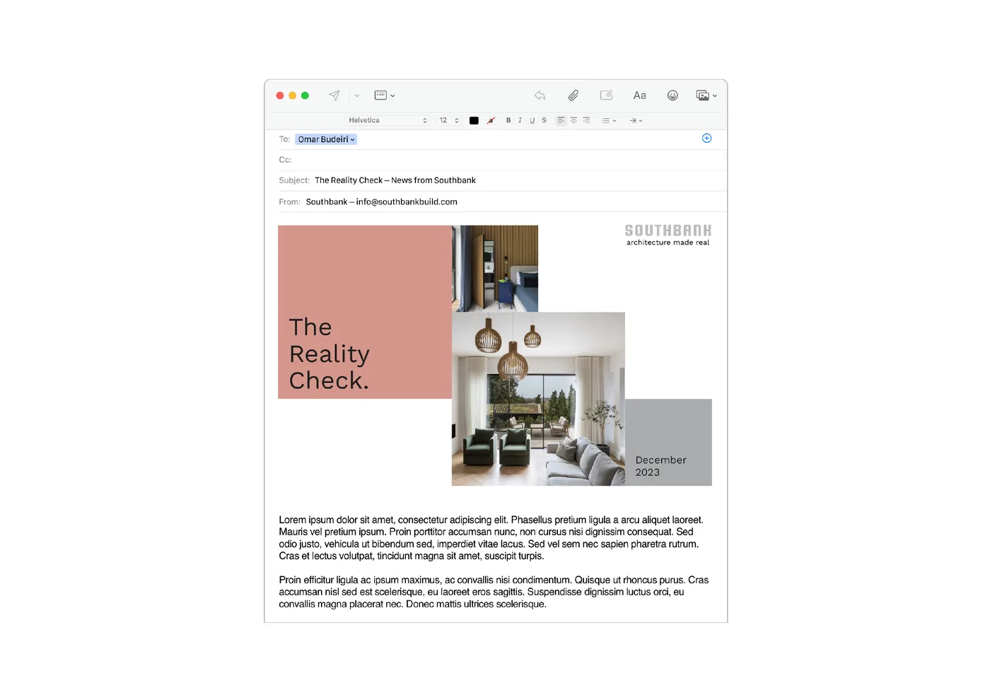 Email newsletter, The Reality Check